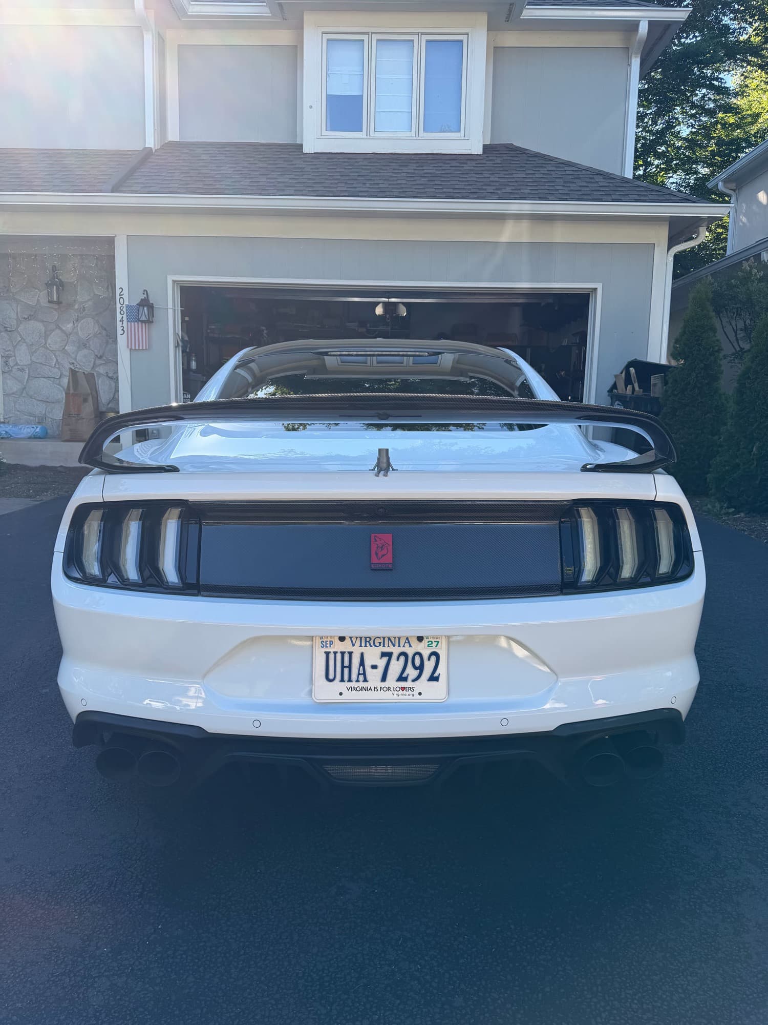 Mustang after